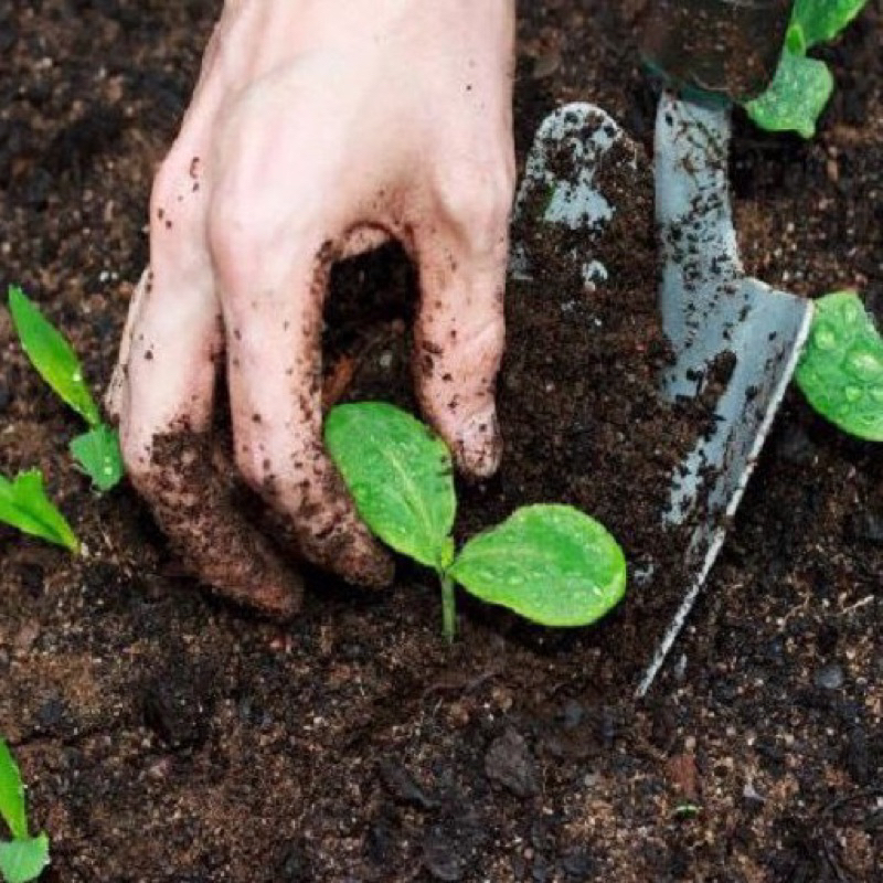 1 kg đất dinh dưỡng Tribat cao cấp trồng cây, gieo hạt, ươm cây con