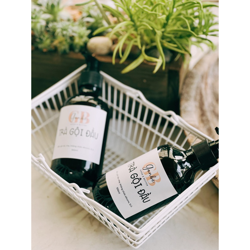 TRÀ GỘI ĐẦU / 𝐁𝐮̛𝐨̛̉𝐢 𝐓𝐫𝐚̀ 𝐒𝐡𝐚𝐦𝐩𝐨𝐨