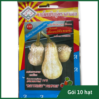Hạt giống bí đỏ hồ lô Thái Lan gói 10 hạt