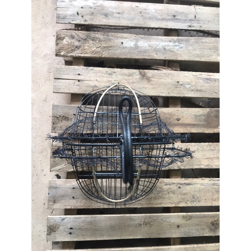 Lồng bẫy chim chào mào MẪU MỚI NHẤT  2023