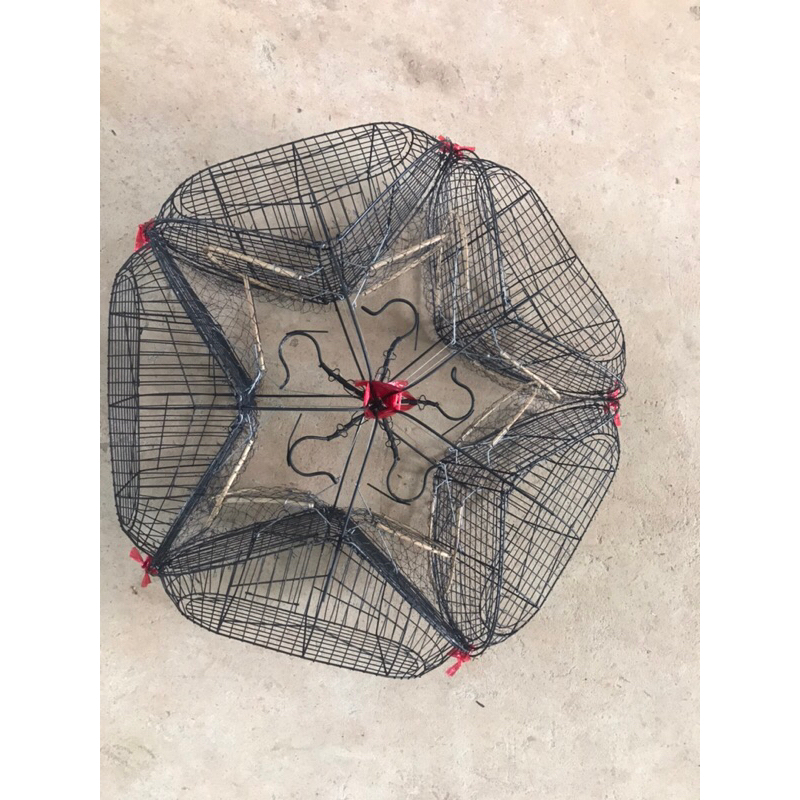 Lồng bẫy chim chào mào MẪU MỚI NHẤT  2023