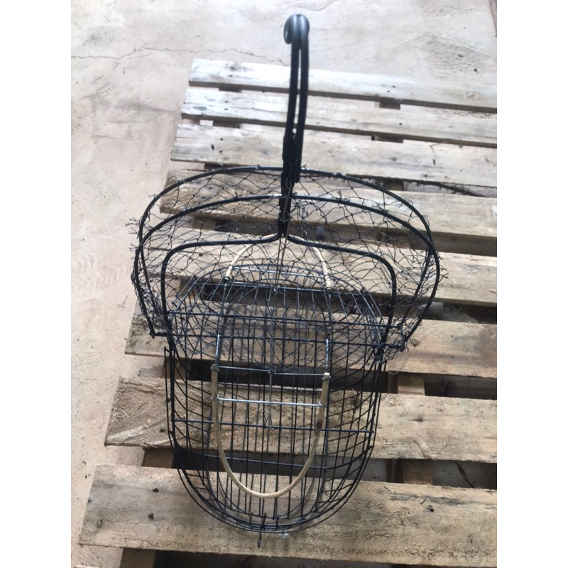 Lồng bẫy chim chào mào MẪU MỚI NHẤT  2023