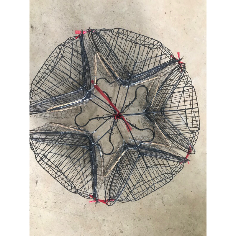 Lồng bẫy chim chào mào MẪU MỚI NHẤT  2023