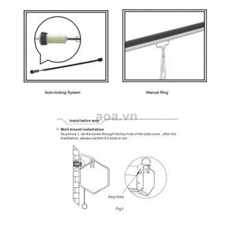 Màn chiếu treo tường Apollo chính hãng kích thước 85 inch tới 170 inch