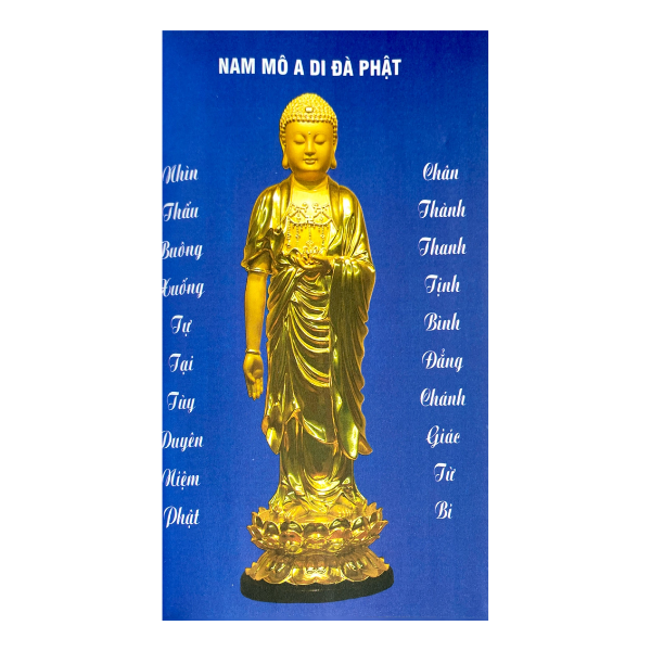 Sách Phật Thuyết Đại Thừa Vô Lượng Thọ Trang Nghiêm Thanh Tịnh Bình Đẳng Giác Kinh