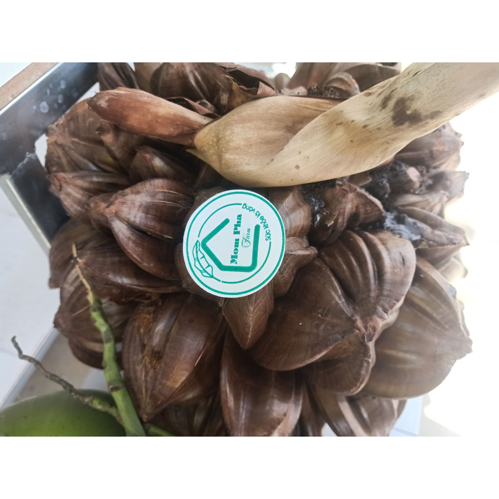 27 trái dừa nước tươi nguyên trái về tự chẽ