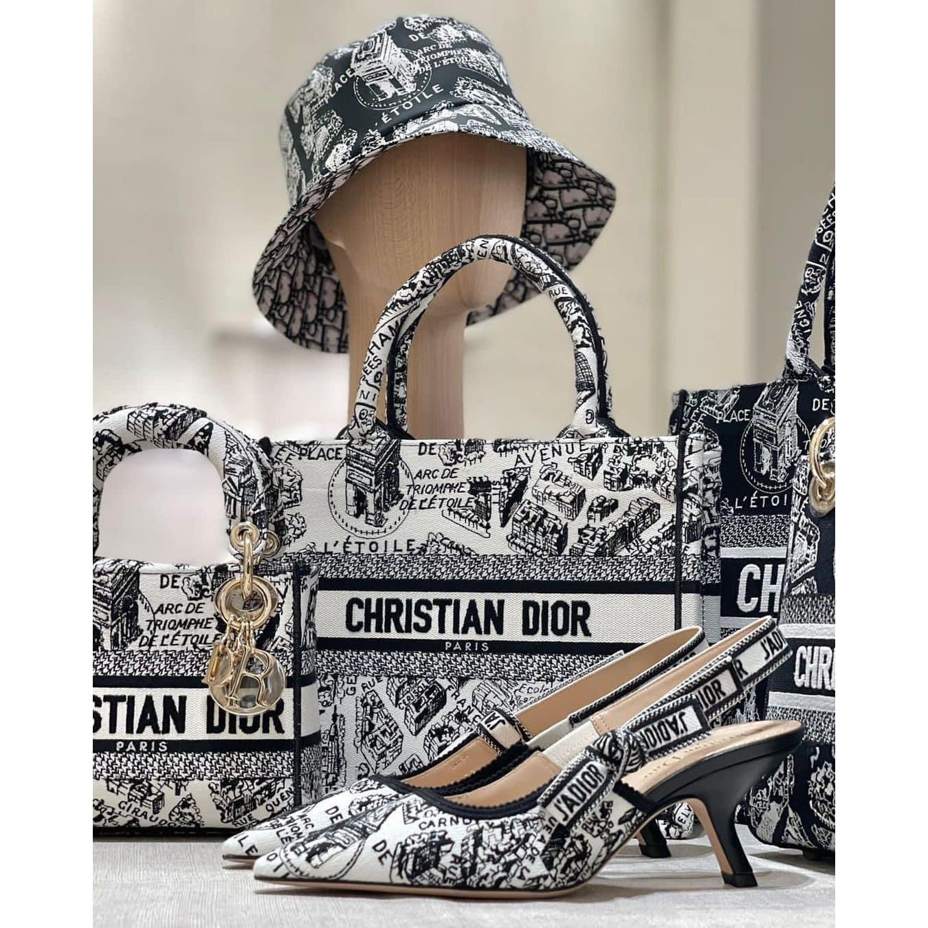 Túi XÁch Di.or LAdy Họa tiết Mới Hàng Super