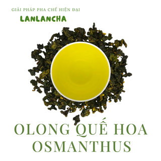 Trà olong mộc quế hoa osmanthus cao cấp LANLANCHA LC06 chuyên dùng pha chế trà và trà sữa uống dưỡng nhan