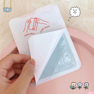Túi 10 miếng dán giữ nhiệt PainTer siêu ấm