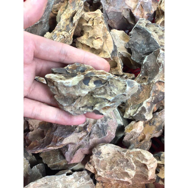 ĐÁ TIGER  trang trí hồ cá, hồ thủy sinh, hồ bán cạn