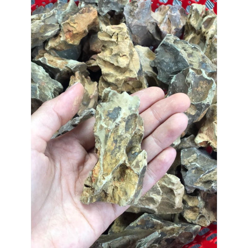 ĐÁ TIGER  trang trí hồ cá, hồ thủy sinh, hồ bán cạn