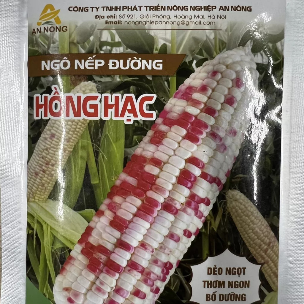 Hạt giống Ngô Nếp Đường HỒNG HẠC dẻo ngọt, thơm ngon, bổ dưỡng