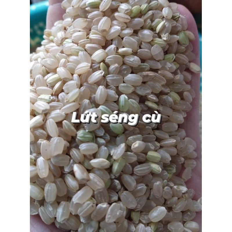 GẠO LỨT SÉNG CÙ (1kg hút chân không)