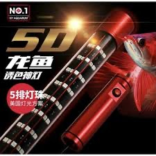 ĐÈN NO1 ĐÈN LED CHUYÊN CÁ RỒNG TANNING