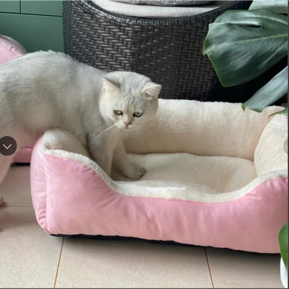 đệm giường ổ hình chữ nhật cho chó mèo tặng đồ chơi đùi gà nhồi bông cao cấp
