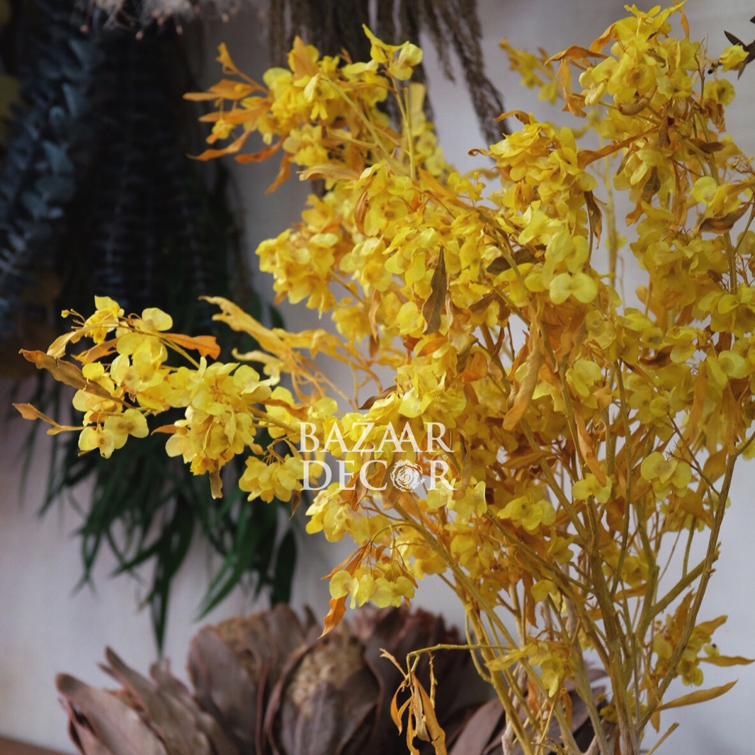 Bó hoa đậu sấy khô loại đẹp nguyên cành 60cm
