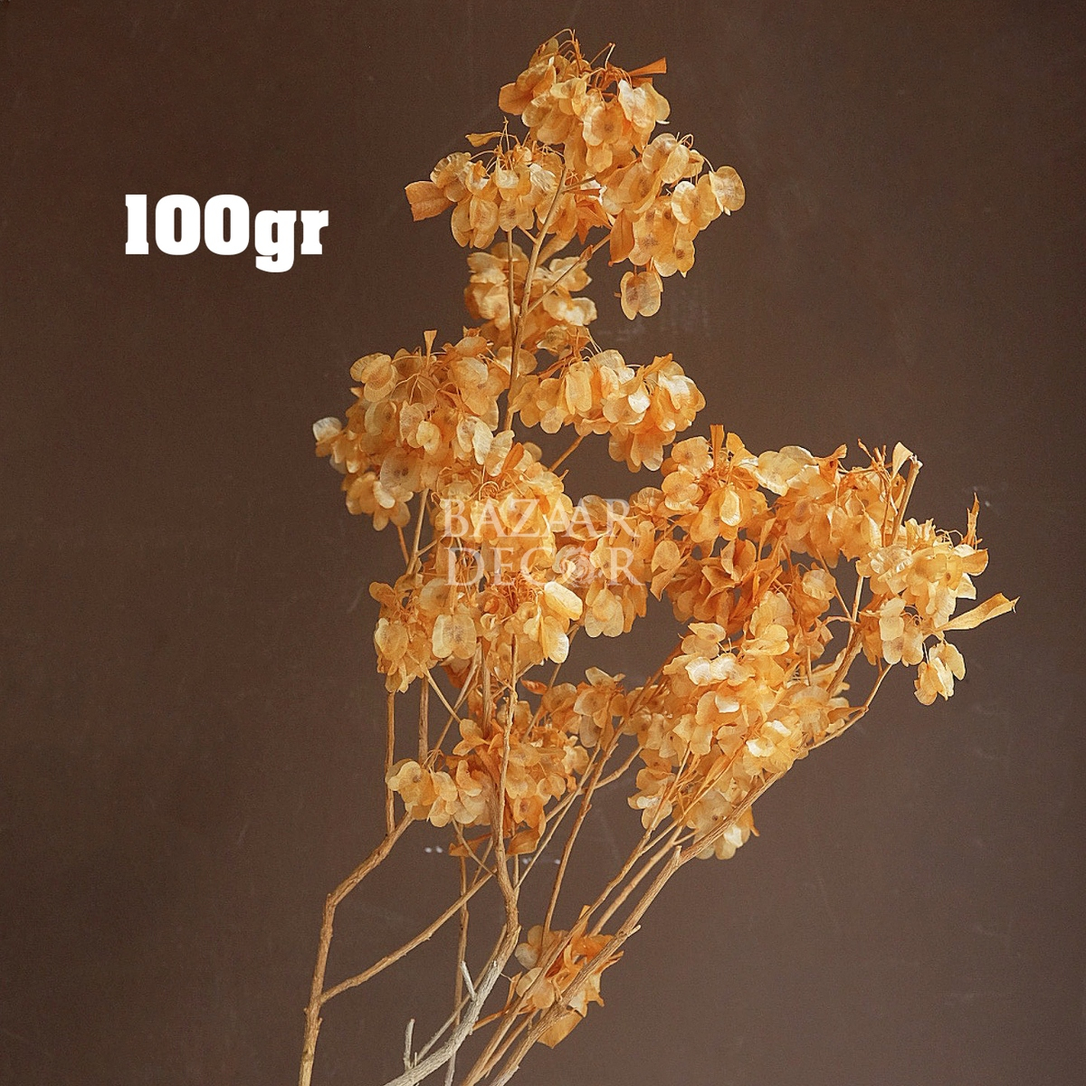 Bó hoa đậu sấy khô loại đẹp nguyên cành 60cm