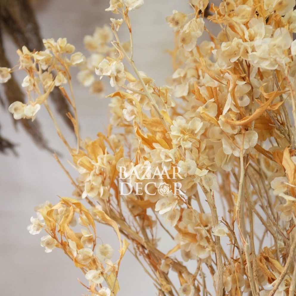 Bó hoa đậu sấy khô loại đẹp nguyên cành 60cm