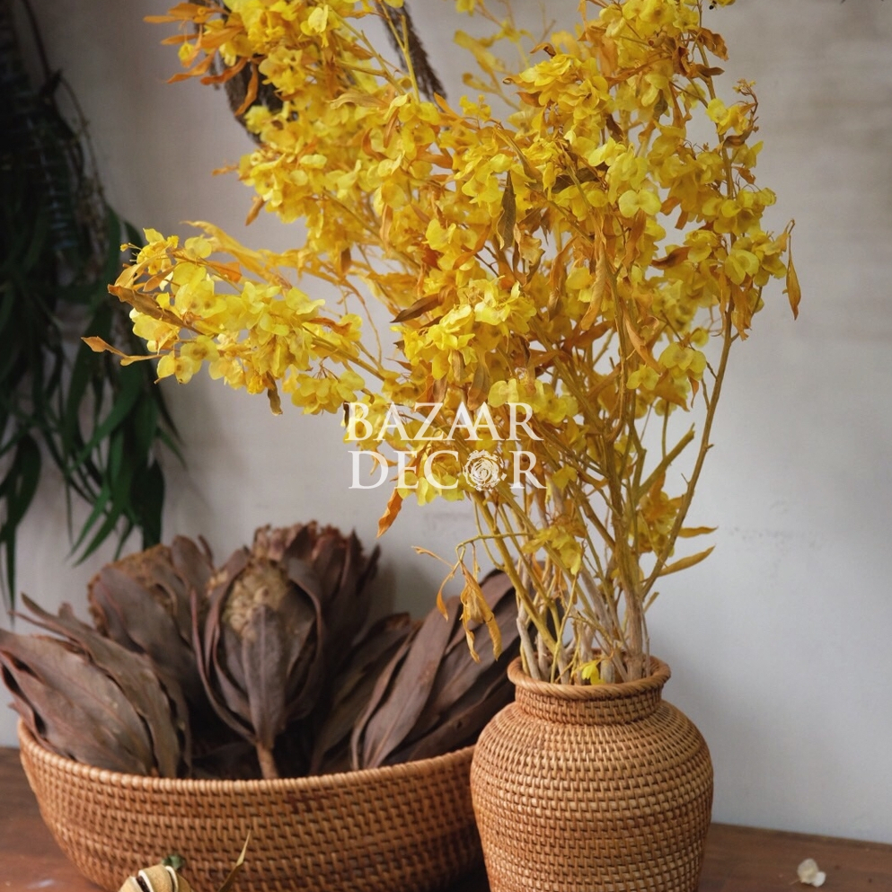 Bó hoa đậu sấy khô loại đẹp nguyên cành 60cm