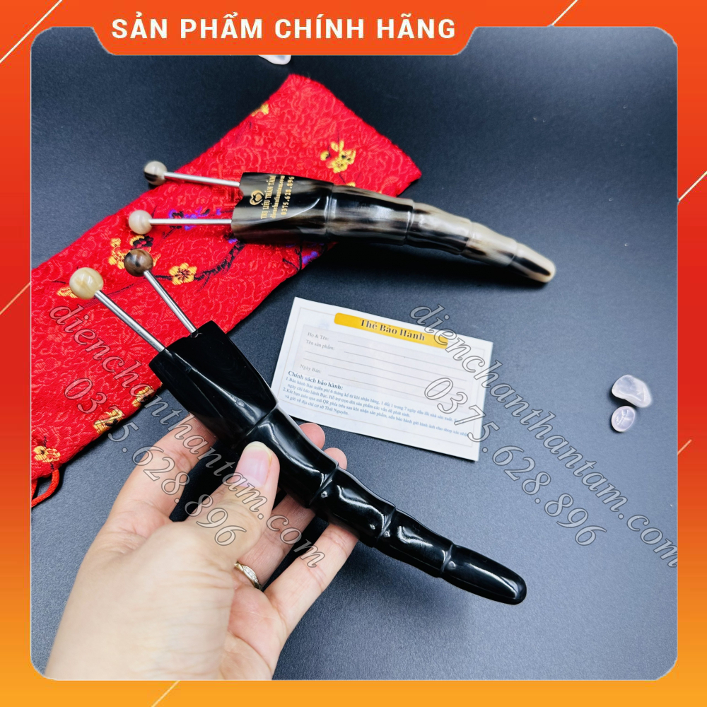 Bọ cạp sừng trâu trị đau vai gáy cỡ nhỏ_ Diện chẩn thân tâm