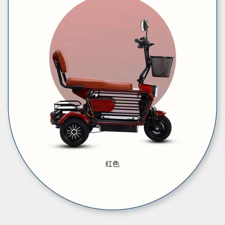 XE ĐIỆN 3 bánh 48V12A - Oder