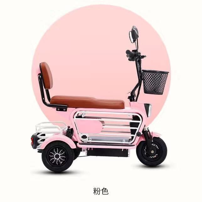 XE ĐIỆN 3 bánh 48V12A - Oder