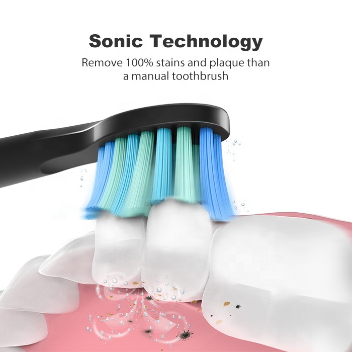 Bàn chải điện fairywill e11 với 7 đầu bàn chải thay thế