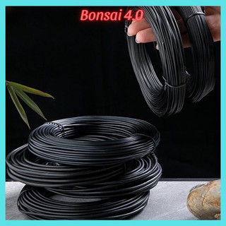  1kg Dây nhôm đen uốn cây cảnh bonsai mềm dẻo  đủ size  