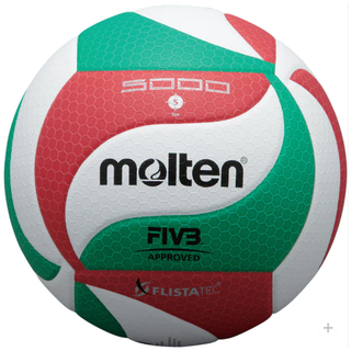 Bóng chuyền molten mã v5m5000 size 5