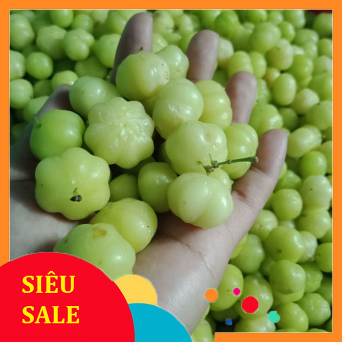1kg Trái Chùm Ruột tươi - Dược Liệu Tuấn Phát