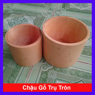 Chậu Gỗ Trồng Cây Trụ Tròn - chậu gỗ tự nhiên, đẹp & độc đáo, thân thiện môi trường