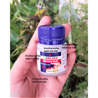 Cù Là Lửa Geliga 40g