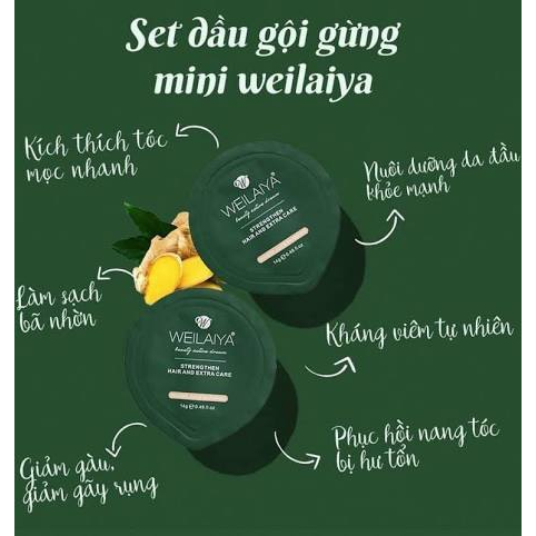 Dầu gội Weilaiya, dầu xả gừng giảm gàu, gãy rụng và kích thích mọc tóc, kiểm soát dầu giúp tóc suôn mượt, không bết dính