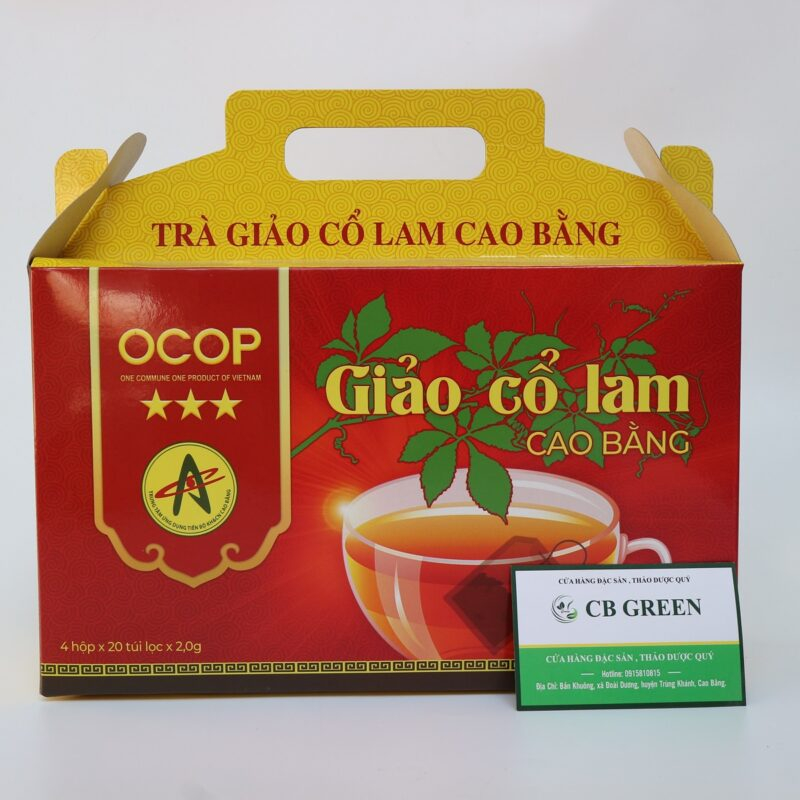 Trà Giảo Cổ Lam Túi Lọc Cao Bằng - Chuẩn OCOP - Dược Liệu Sạch từ Giảo Cổ Lam 5 Lá