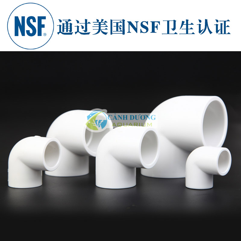 Co Trắng SANKING Phi 20-25-32-40 cho hồ cá