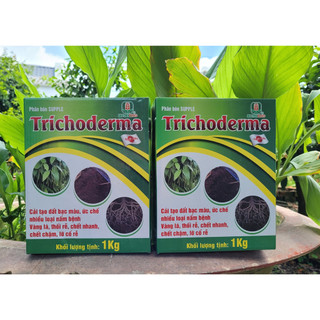 Trichoderma mekong 3 chủng vi sinh dùng ủ phân bón, bón gốc gói 1kg