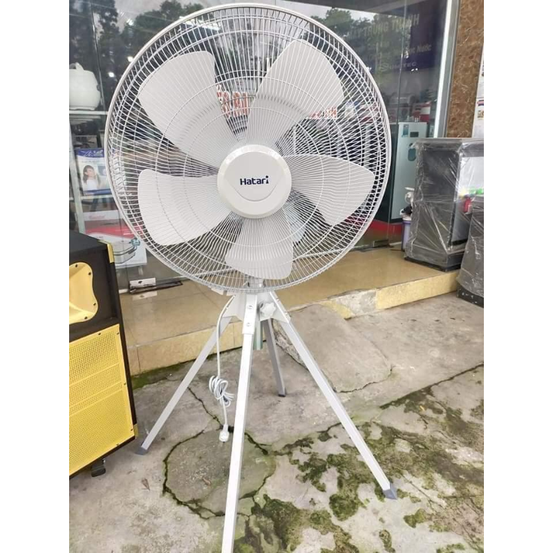 Quạt Công Nghiệp 4 Chân Hatari IQ22M1, Nhập Khẩu Thái Lan- Hàng Chính Hãng, Bảo Hành 2 Năm
