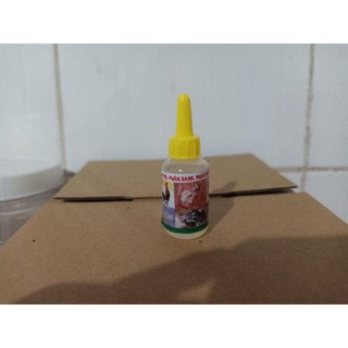 Gà viêm ruột, phân xanh, phân trắng