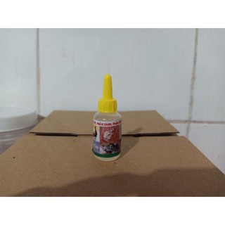 Gà viêm ruột, phân xanh, phân trắng