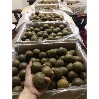 1 Quả la hán giải độc thanh mát