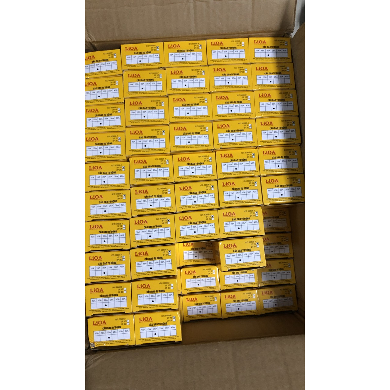 CB Cóc 20A ( Cầu dao tự động 20a) LIOA