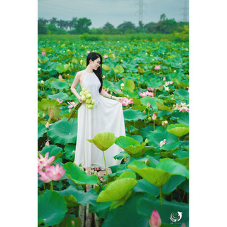Yếm chụp Sen