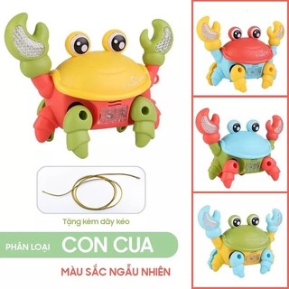 Đồ chơi trẻ em - con Cua chạy pin AA phát nhạc sôi nổi và có đèn lấp lánh