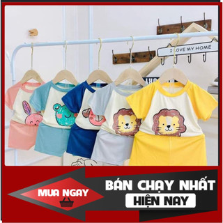 Quần áo trẻ em Ledu Shop - bộ đùi raplan cotton cho bé trai, bé gái, đủ màu, đủ size