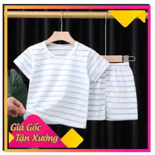 Quần Áo Trẻ Em,bộ đùi cotton sọc cho bé trai,bé gái,đủ size,đủ màu