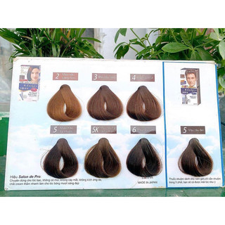 NHUỘM TÓC PHỦ BẠC SALON DE PRO
