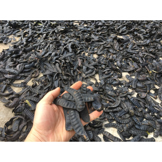 Bột bồ kết khô nguyên chất gói 300g
