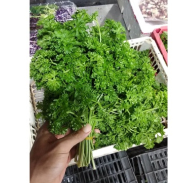 Parsley Lá mùi tây,ngò tây tươi 100g