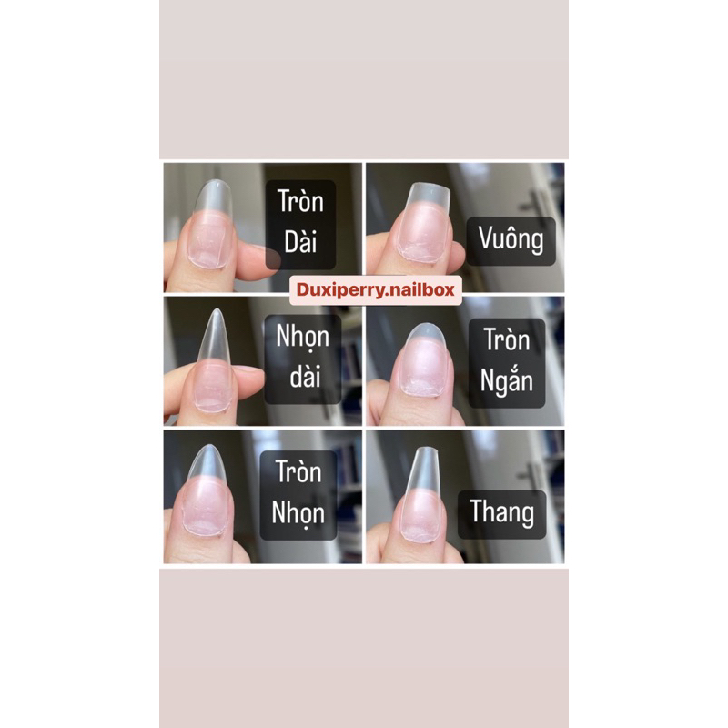 Nail box thiết kế mắt mèo tráng gương