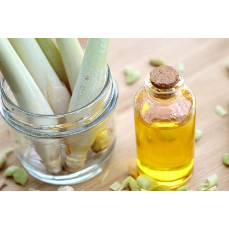 TINH DẦU XẢ CHANH NGUYÊN CẤT 100%